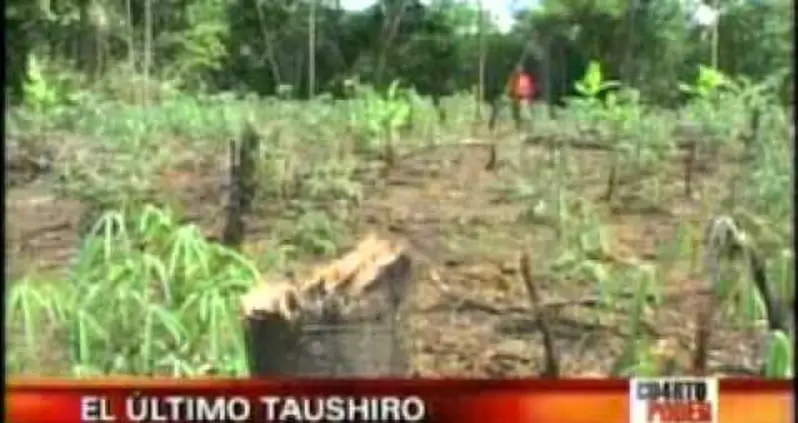 The Most Unique Languages In The World