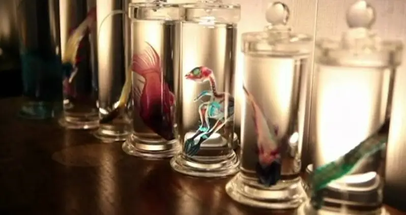 Iori Tomita’s Technicolored Take On Death