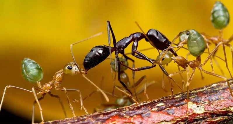 What We Love This Week, Volume XXV