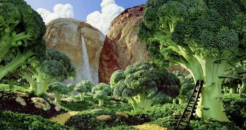 The World’s Coolest Food Art