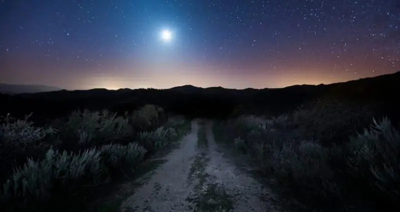 What We Love This Week, Volume XXVIII