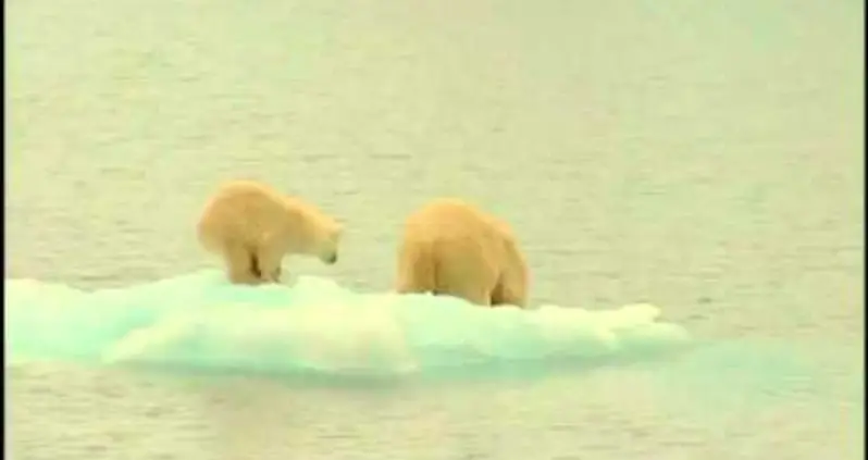 Six Animal Signs That Planet Earth Is Sick