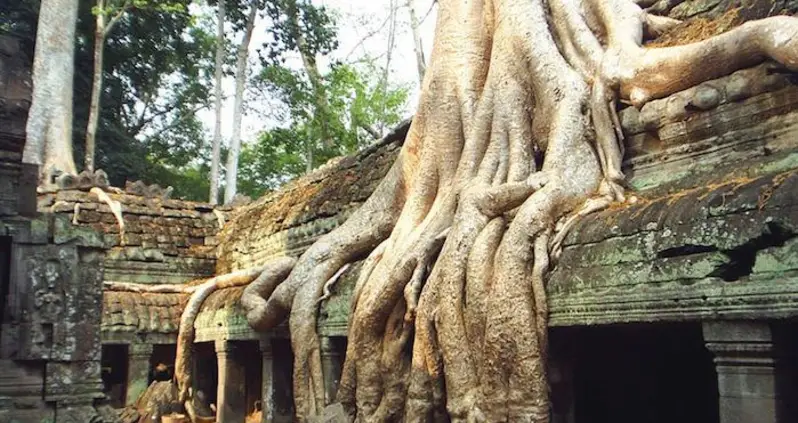 Five Fascinating Lost Civilizations