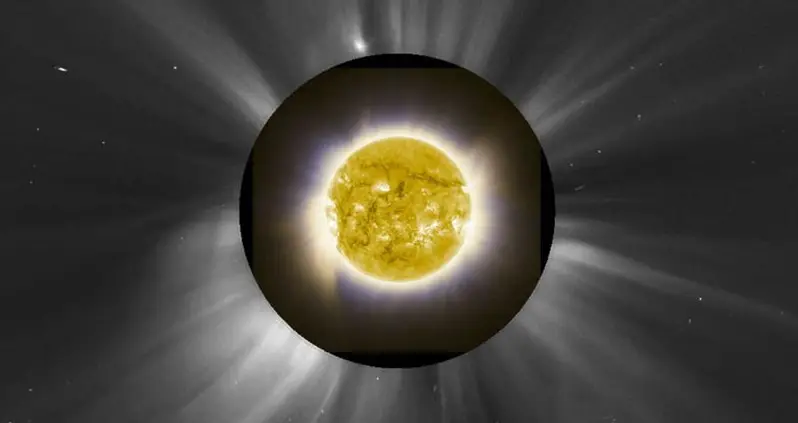 The Best Science Photos Of 2013