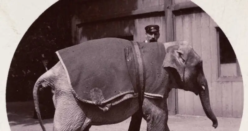 The World’s First Kodak Moments