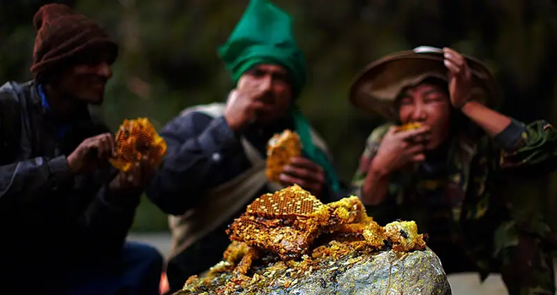Gurung Honey Hunters: Preserving The World’s Greatest Traditions