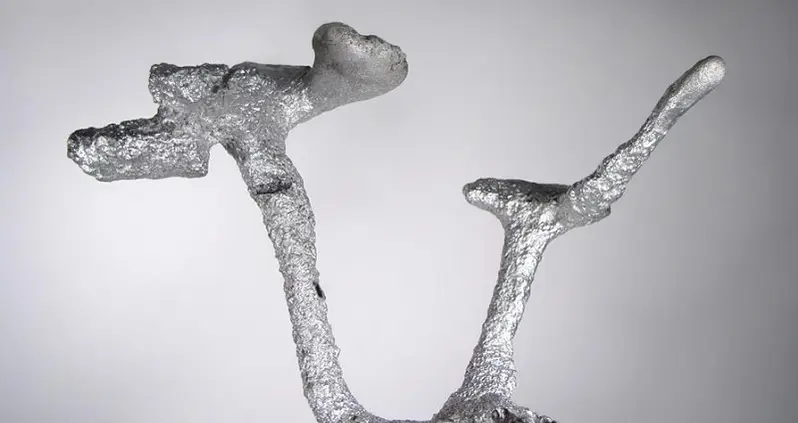 Anthill Art Creations And The Complexity of Ant Colonies