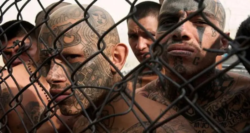 The Most Brutal Gangs Around The World