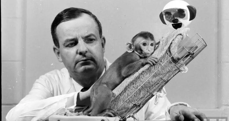 The Most WTF Science Experiments Ever Conducted