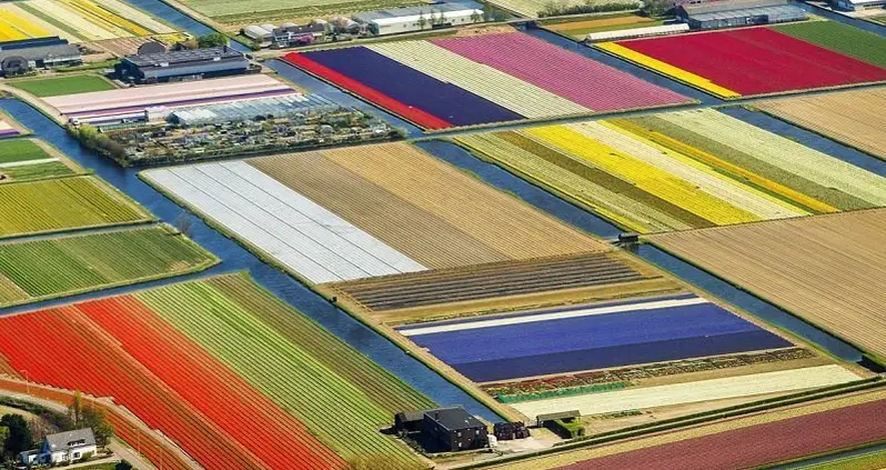 The World’s Most Beautiful Spring Blooms