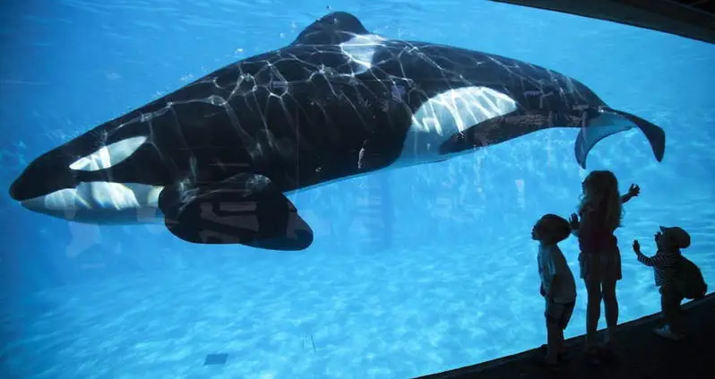 The 5 Worst Ways To Die