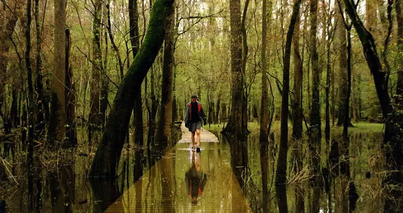 The Coolest National Parks In The United States