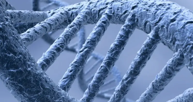 What A 45,000 Year-Old Bone Reveals About Human-Neanderthal Relations