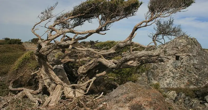 The World’s Extreme Climates And The People Who Live There