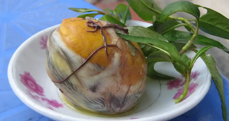 Godawful Foods From Around The World