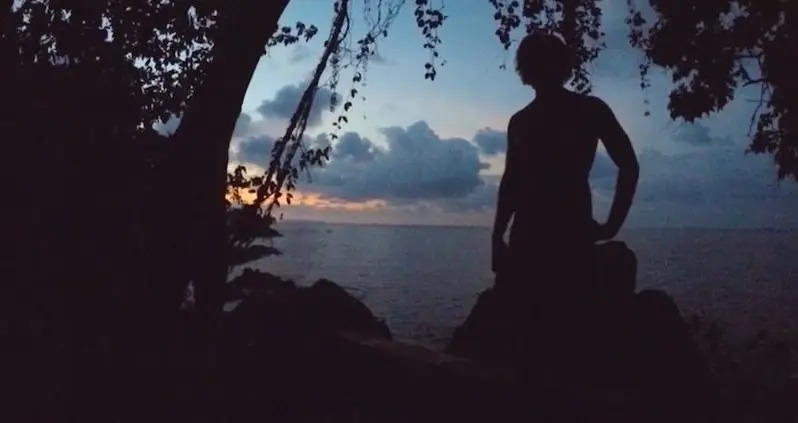 Commodifying Nature: Ecotourism And Costa Rica’s Osa Peninsula