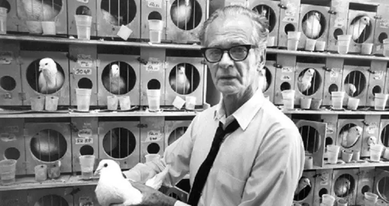 The Violent Ways Humans Have Used Animals As Weapons