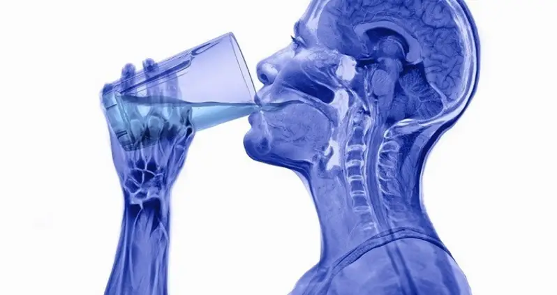 X-Ray Art Reveals The Internal Beauty Of Everyday Objects