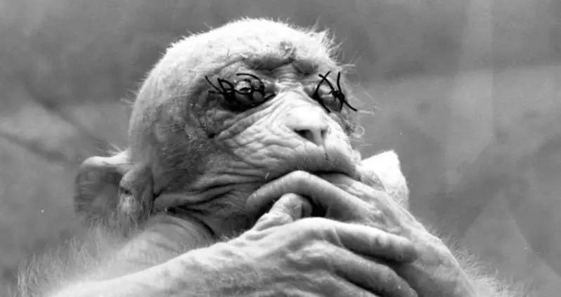 The 7 Most Terrifying Experiments Ever Conducted