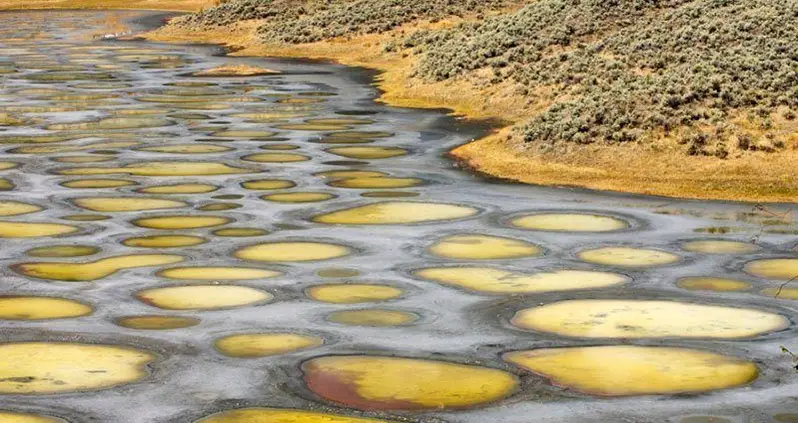 Canada’s Spotted Lake Is Seriously Out Of This World