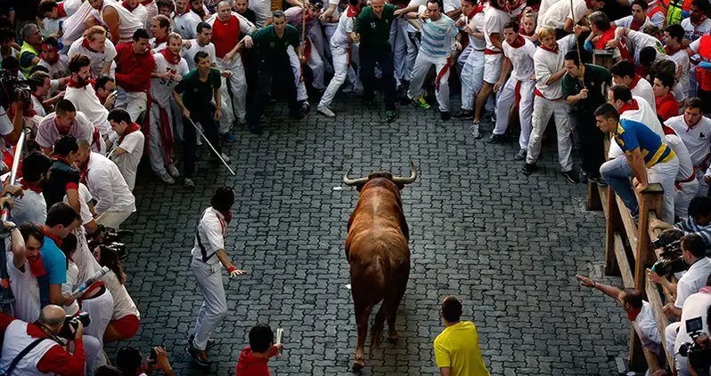 San Fermin Festival: Gorings, Crowds And So Many Bulls