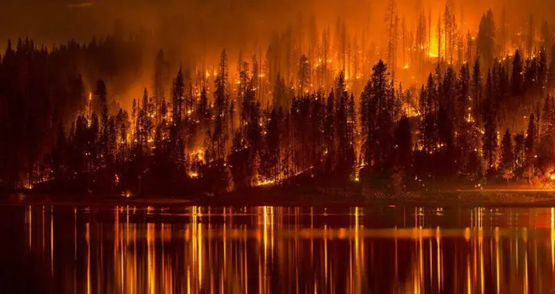 The Most Extreme Summer Weather Of 2015