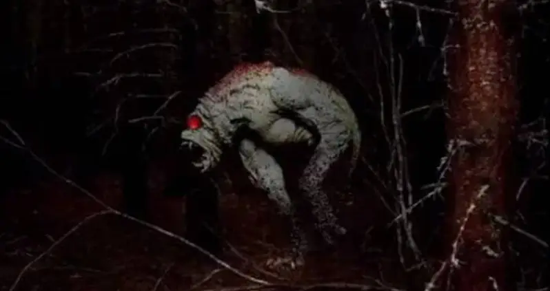 9 True Scary Stories That Are Almost Too Creepy To Believe