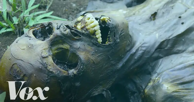 Video Of The Day: This Is How A Human Body Decomposes