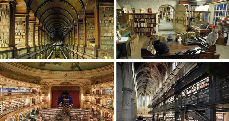 Inside The Six Coolest Bookstores In The World