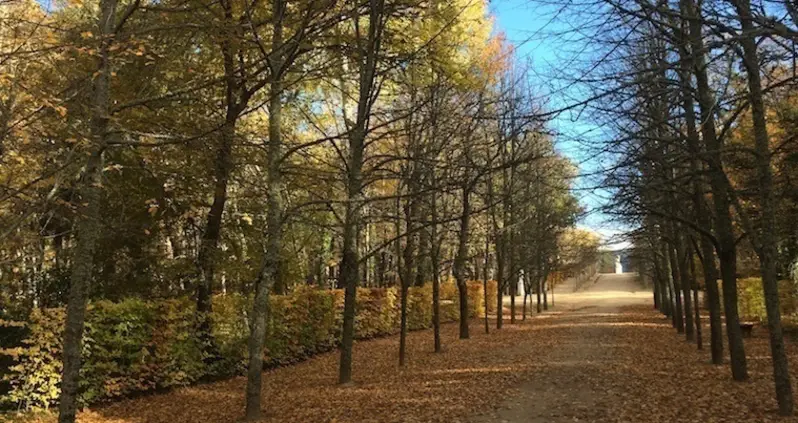 This Is What Spain’s “Versailles”, La Granja De San Ildefonso, Looks Like In Fall