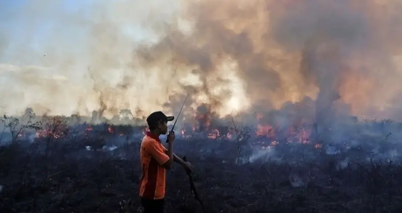 Indonesia Is Burning, And The World Hasn’t Noticed
