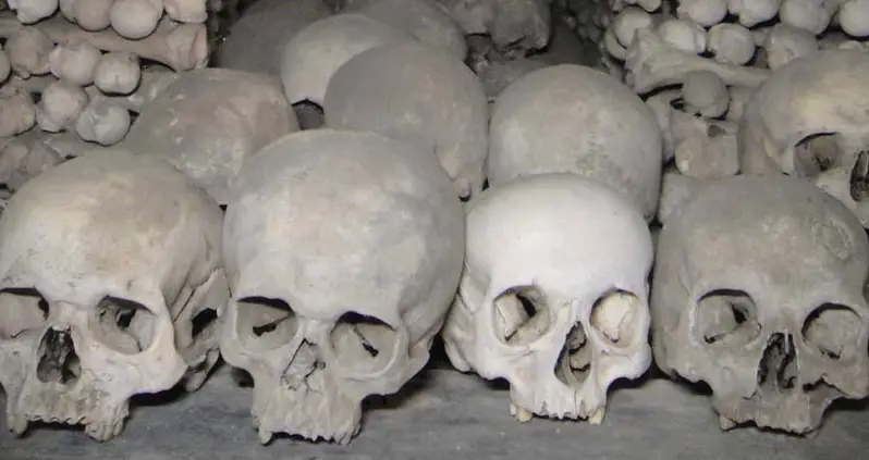 The Five Biggest Killing Fields In America