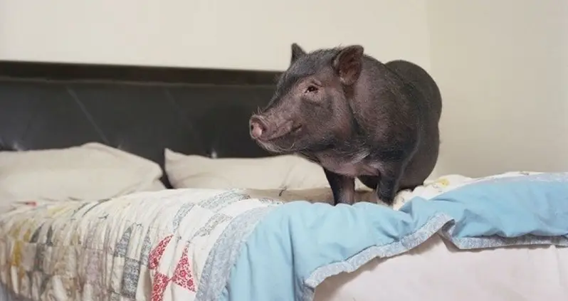 What We Loved This Week, Jan. 10 – 16