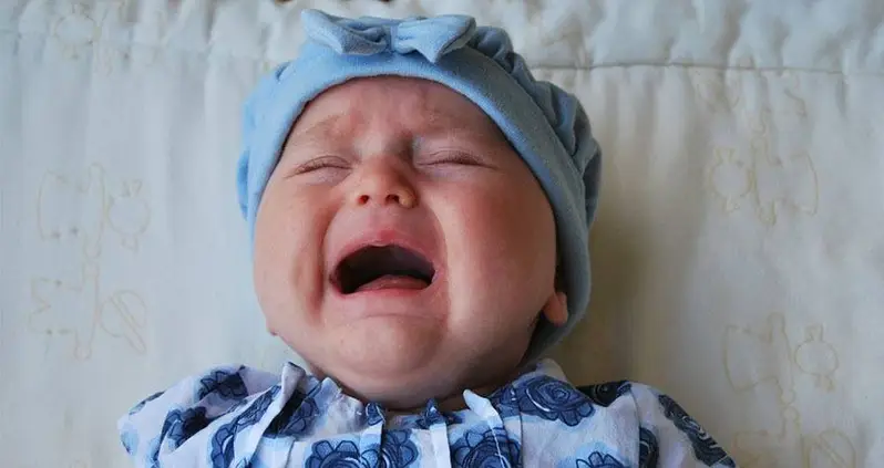 What Are Baby Hatches?