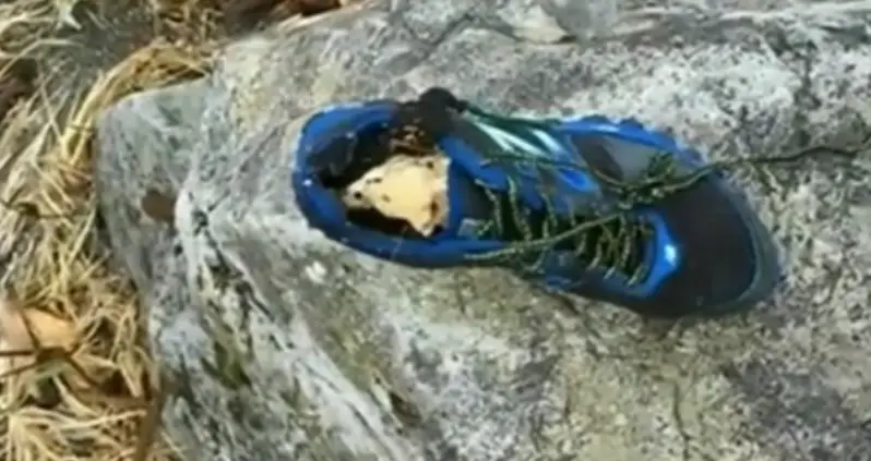 Why Do Shoes Containing Severed Feet Keep Washing Up On Pacific Northwest Beaches?