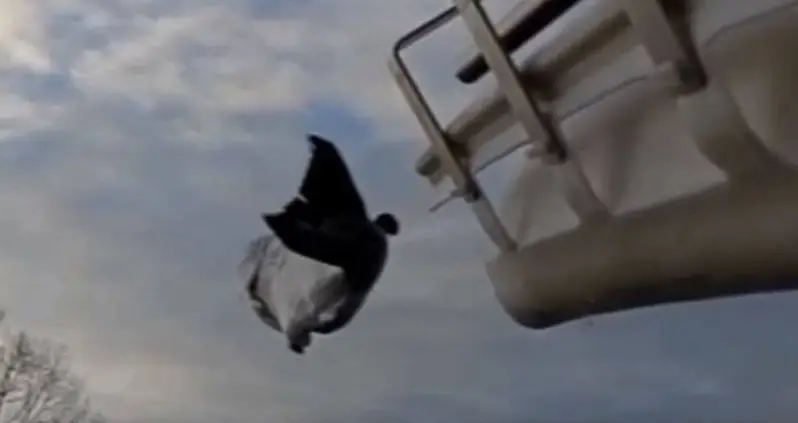 Why We Need This Cannon That Shoots Salmon Hundreds Of Feet Through The Air