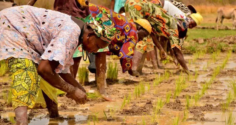 The Peace Corps: Celebrating 55 Years of Service