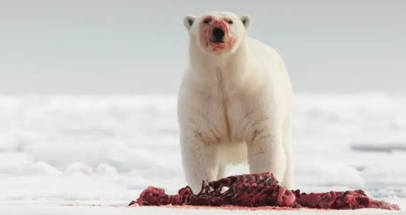 What We Loved This Week. Mar. 6 – 12