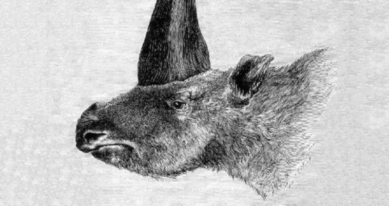 “Siberian Unicorn” Discovery Shocks Scientists