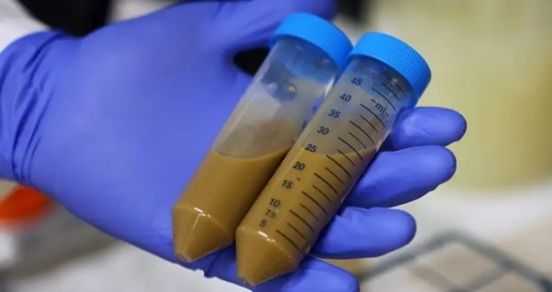 New Study: Why Poop Transplants Might Be The Most Exciting Recent Development In Medicine