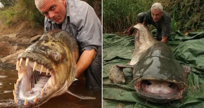 Man-Eaters And Monsters: The 15 Weirdest Freshwater Fish Ever Caught