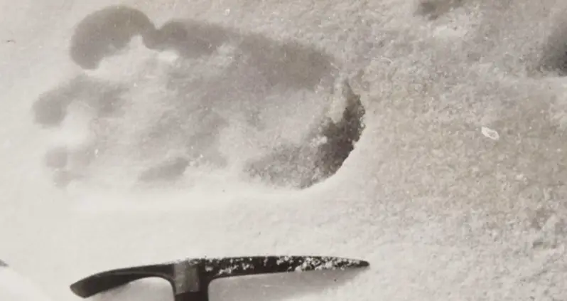 Five Pieces Of Yeti Evidence That’ll Make Skeptics Wish They Were Believers
