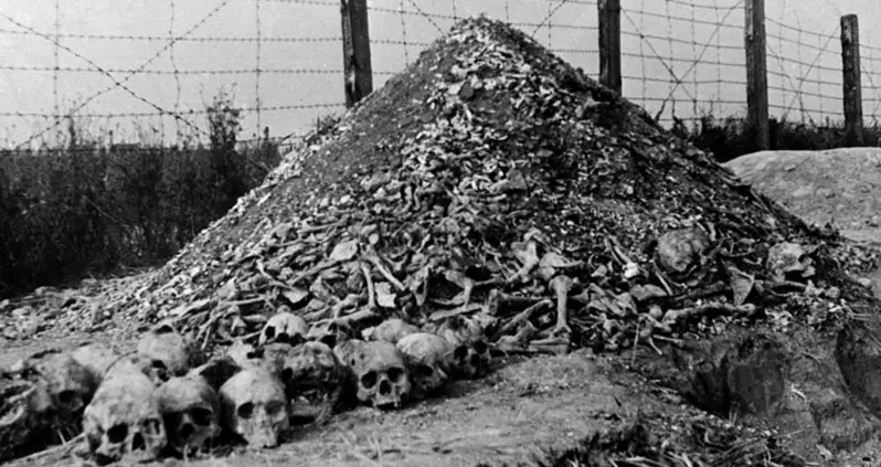 4 Absolutely Devastating Moments From The Nazi Occupation