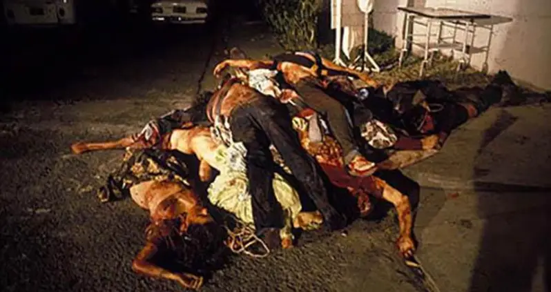 The 4 Most Sinister CIA Programs Ever Conducted