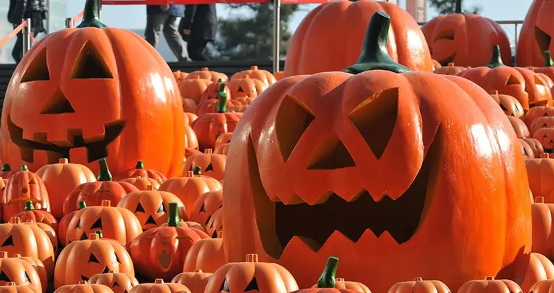 Jack-O’-Lanterns: Another Joy Brought To You By Immigrants