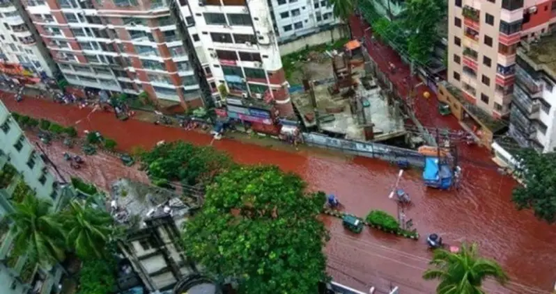 Muslim Animal Sacrifice Traditions Draw Criticism After Incident In Bangladesh