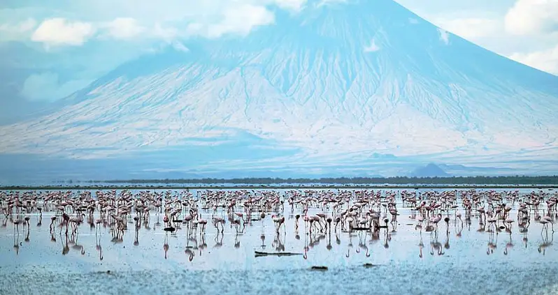 Lake Natron, The Bird-Calcifying Lake That’s Actually Teeming With Life