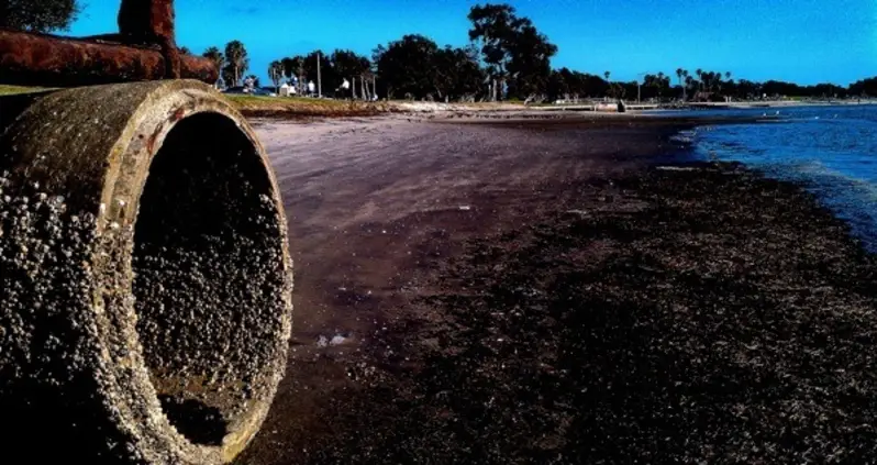 California’s Pollution Problem Is Very Real: 31 Photos