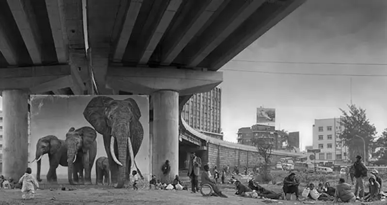 New Photo Series Imagines Nature’s Ghostly Return To Urban Spaces