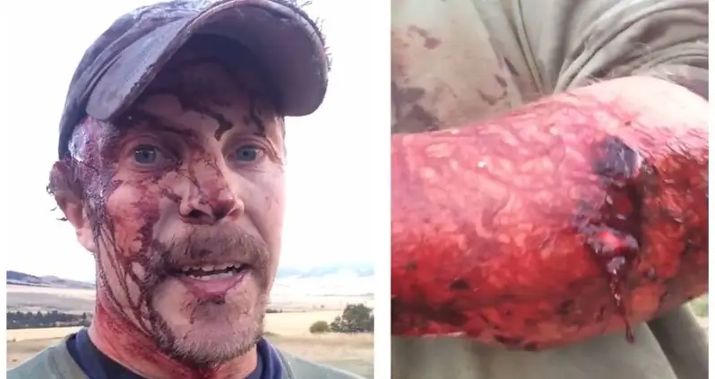 Montana Man Attacked By Same Grizzly Twice In One Day